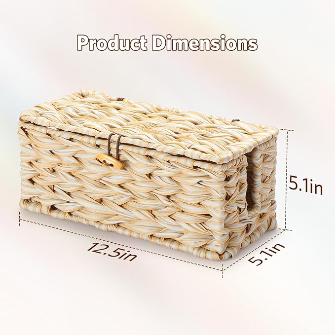 Delamu Handwoven Synthetic Rattan Cable Management Box, Flat Weave Desk Organizer with Wire Management, Multi Purpose Cord Hider Box, 12.5" Lx 5.3" Wx 5.3" H, Natural & White