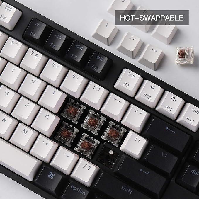 Keychron C1 Wired Mechanical Keyboard TKL, RGB Backlit with Double-Shot ABS Keycaps, 87 Keys Hot-Swappable Pre-lubed Tactile Switch Compatible with Mac Windows