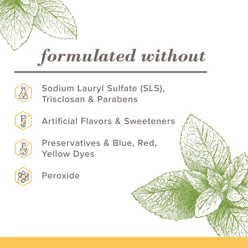 Burt's Bees Toothpaste, Natural Flavor, Fluoride Free Purely White, Zen Peppermint, 4.7oz 3 Count