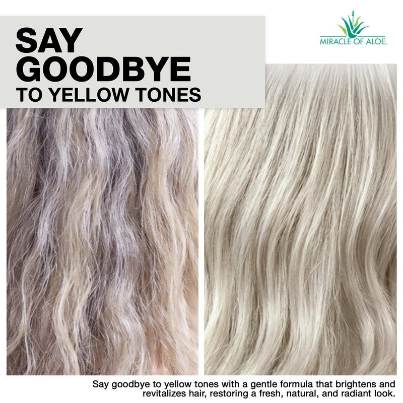 Softly Silver Shampoo Improved Conditioning formula for Gray Hair, 2 in 1 Purple Restorative Hair Wash for Mature Hair, Adds Luster, Bounce & Body, with Panthenol and 20% Pure UltraAloe