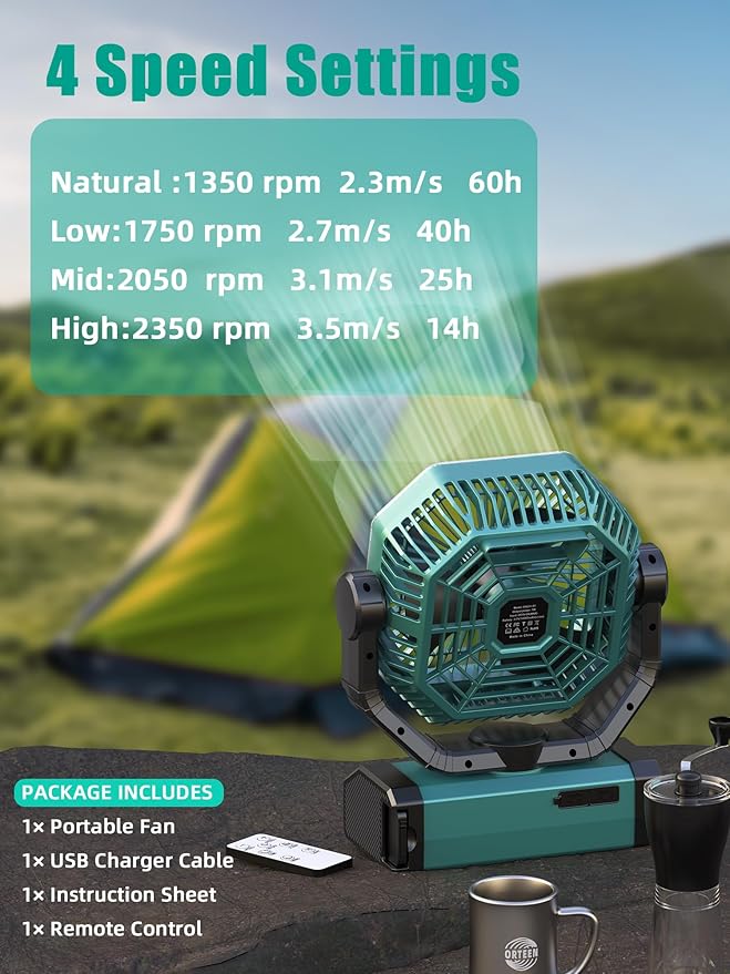 Portable Rechargeable Fan - 9-Inch Camping Fan for Tent, 24000mAh(60Hrs) Battery Operated Fan for Camping, Auto Oscillation Cordless Fans, Tent Fan with Remote/Light, 4 Speeds, 4 Timing, Outdoor