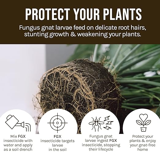 Microbe-Life Hydroponics FGX Fungus Gnat Killer, Natural BTi Pest Control for Plants, Indoor Plant Pest Control to Get Rid of Gnats in Houseplants, Safe for Pets & People, 8 Fl Oz