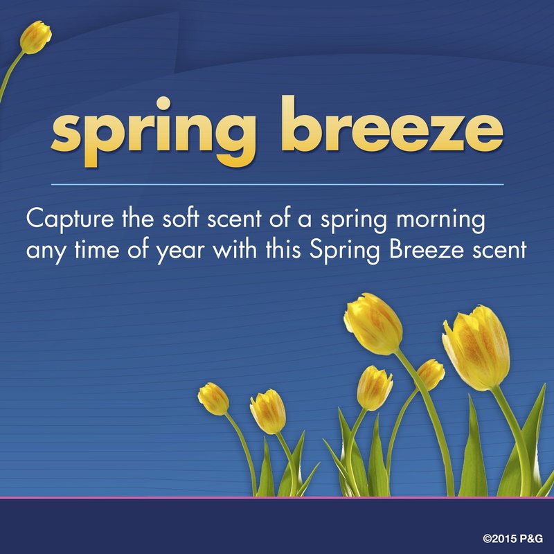 Secret Original Spring Breeze Scent Women's Invisible Solid Ph Balanced Antiperspirant & Deodorant 2.6 Oz (Pack of 6)