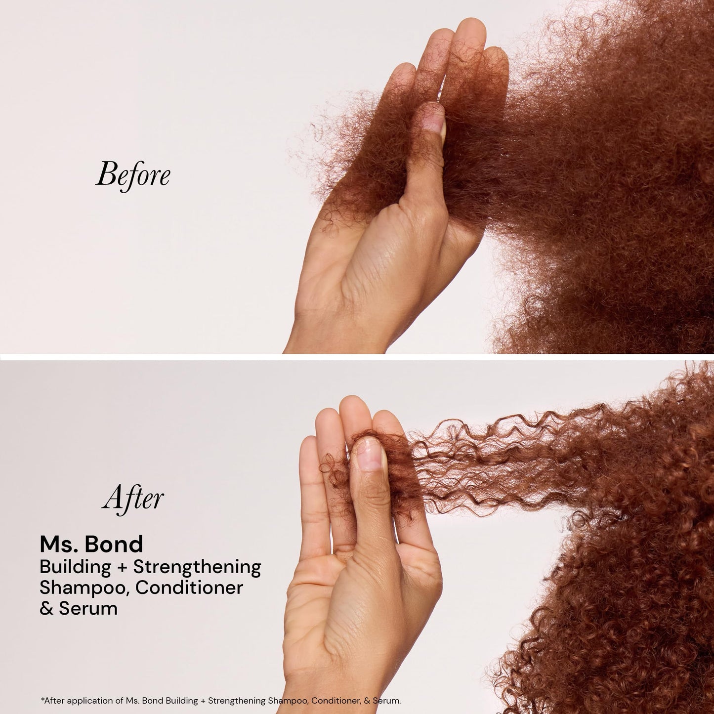 L'ANGE HAIR Ms. Bond Building + Strengthening Shampoo | Restores Hair Bonds | Intensive Treatment for Breakage Recovery | Smooth Finish | Moisturizing Formula | 8 fl oz Bottle