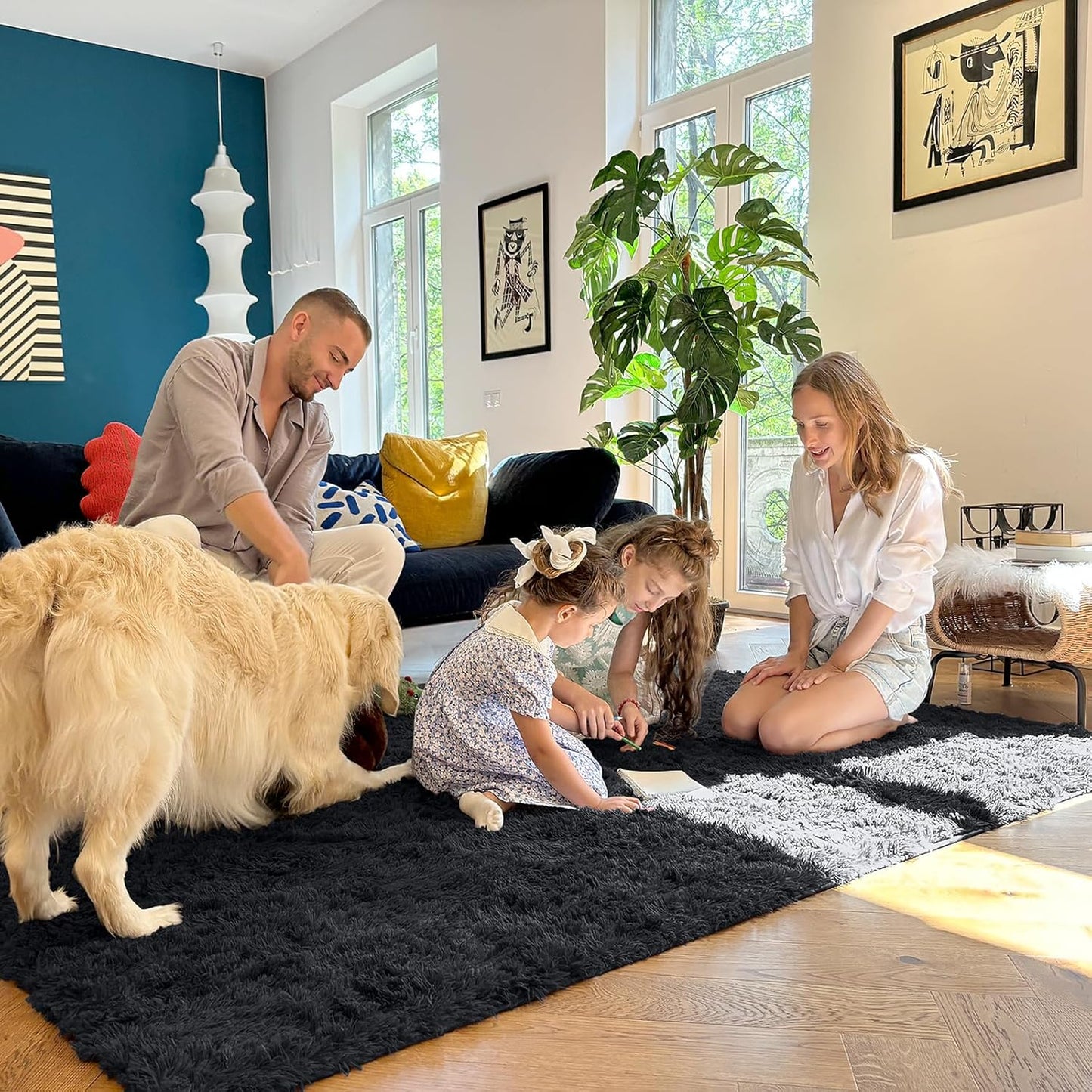 OLANLY Area Rugs - Soft Fluffy Shaggy Indoor Carpet for Living Room & Bedroom | 4x8 Black Design