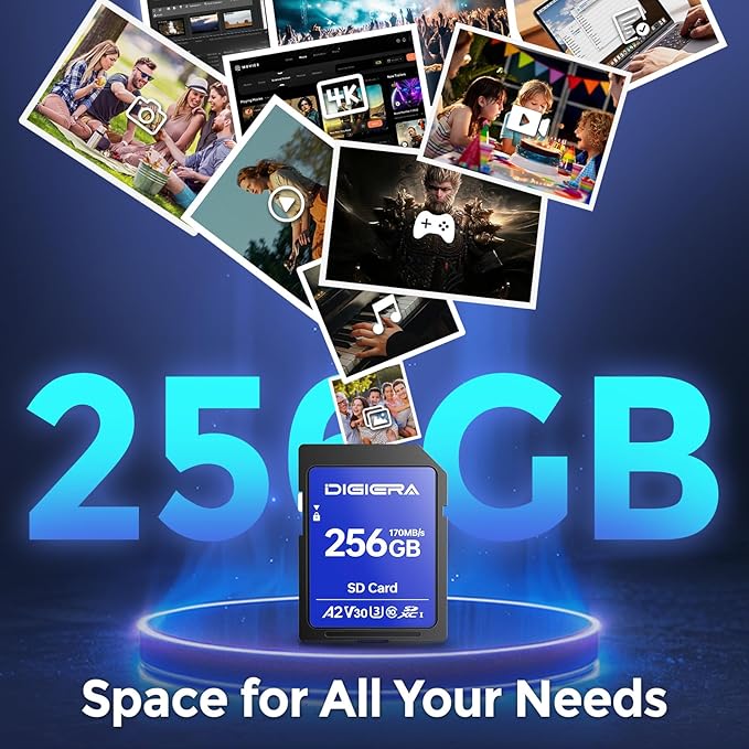DIGIERA 256GB LS100 SDXC UHS-I Memory Card - up to 170MB/s, C10, U3, V30, 4K UHD, SD Card for Computers, Digital Cameras, Home Theatre Devices, Car Navigation Systems (1 Pack)