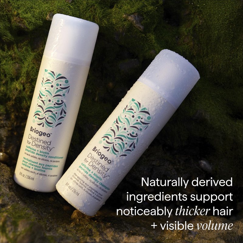 Briogeo Destined for Density Caffeine + Biotin Peptide Density Shampoo | Increases Hair Thickness and Volume for Fine or Thinning Hair | Sulfate-Free | Vegan & Cruelty-Free | 8 fl oz