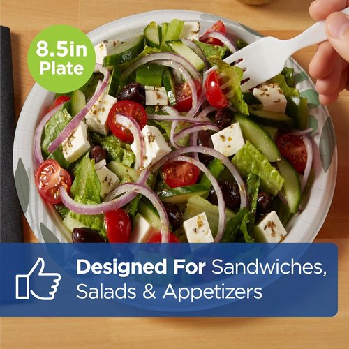 Dixie 8.5 Inch Medium-Weight Paper Plates - Pathways Design, 500 Count | Durable & Disposable