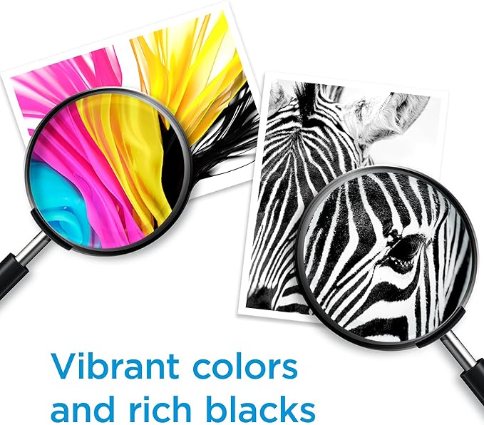 HP 62XL Black High-Yield Ink Cartridges | Works with Printer Series: Envy 5540, 5640, 5660, 7640, OfficeJet 5740, 8040, OfficeJet Mobile 200, 250 | Instant Ink Eligible | C2P05AN | Packaging May Vary