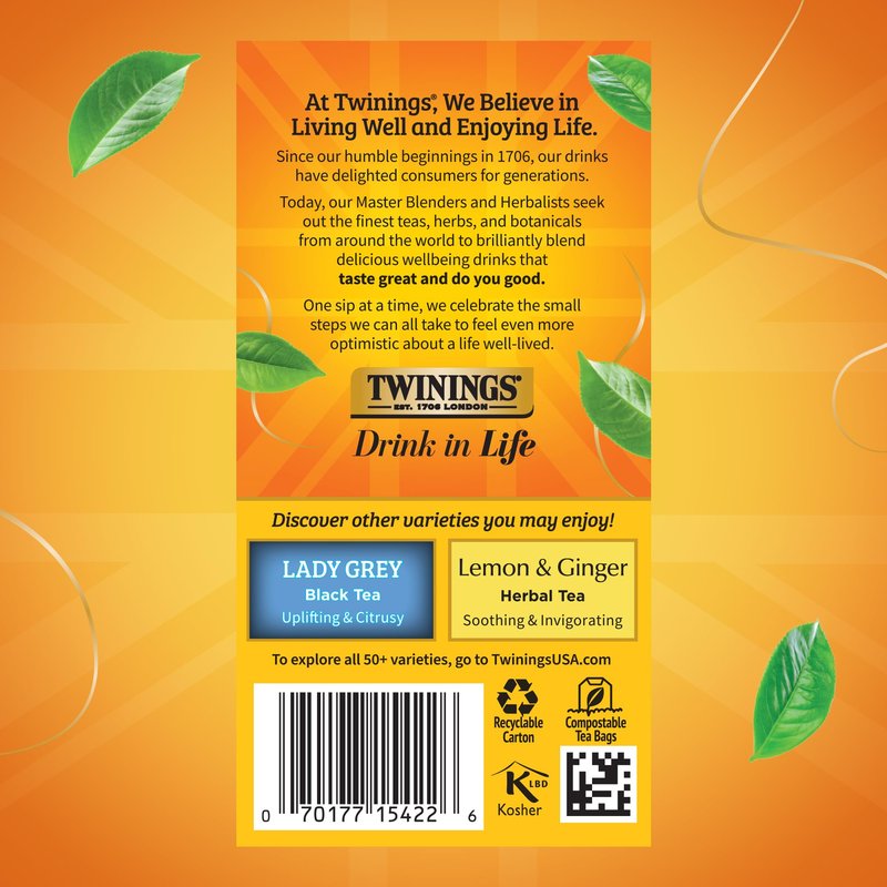 Twinings Earl Grey Black Tea Individually Wrapped Bags, 20 Count (Pack of 2), Flavoured with Citrus and Bergamot, Caffeinated, Enjoy Hot or Iced, 20 Teabags
