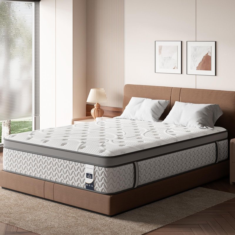 SLEEP100 Queen Mattress 12 Inch, 5-Zone Deep Sleep Firm Mattress with Extra Lumbar & Shoulder Support, Hotel Collection Hybrid Mattresses Pain Relief - Fiberglass Free - No Odor - 365 Night Trial