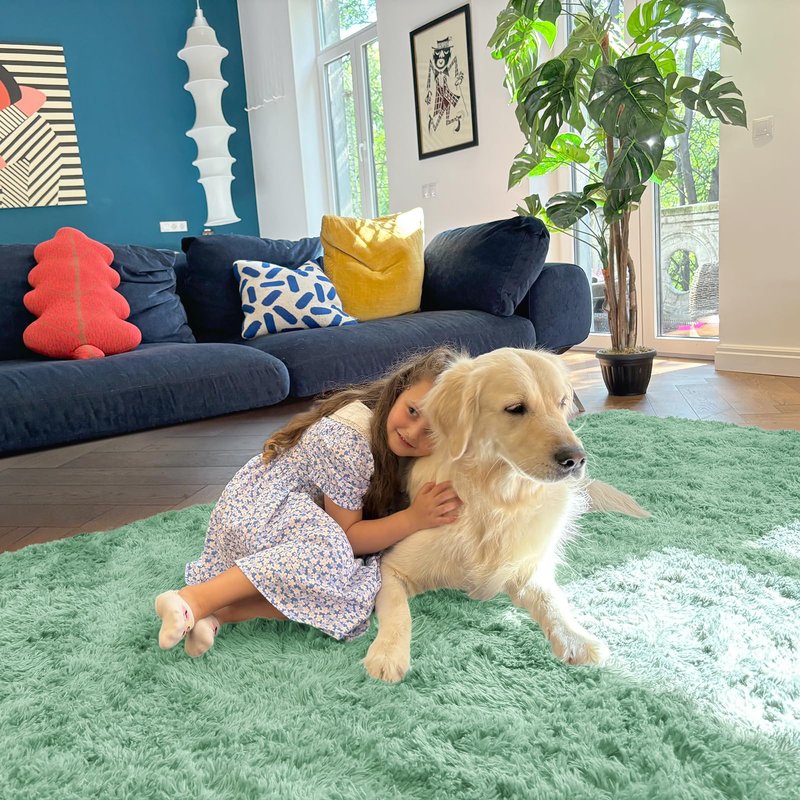 OLANLY 6x9 Machine Washable Large Area Rugs for Living Room, Bedroom, Soft Fluffy Shaggy Bedside Rug, Indoor Floor Carpet for Kids Girls and Boys, Dorms, Nursery, Home Decor Aesthetic, Mint Green