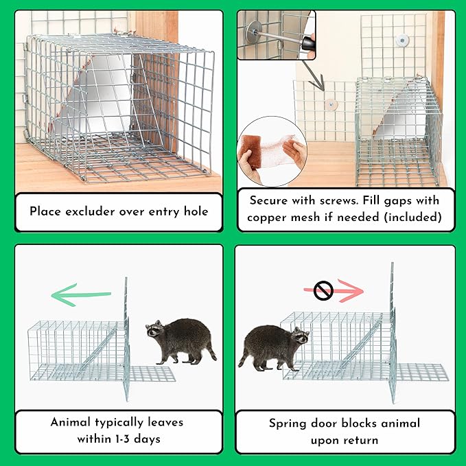Animal One Way Exit Door - 6" Excluder Device for Raccoon, Squirrel, Skunk Trapped in Attic, Chimney, Under Deck â Eviction System with Installation Kit - Wildlife Pest Control Humane Animal Removal
