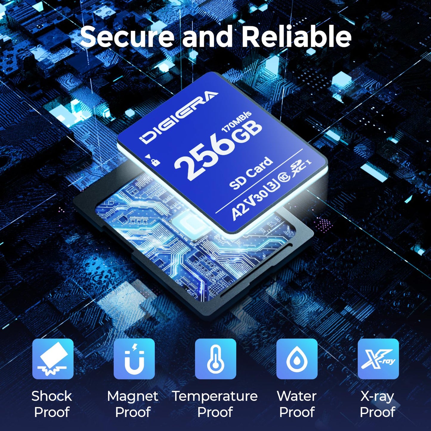DIGIERA 256GB LS100 SDXC UHS-I Memory Card - up to 170MB/s, C10, U3, V30, 4K UHD, SD Card for Computers, Digital Cameras, Home Theatre Devices, Car Navigation Systems (1 Pack)
