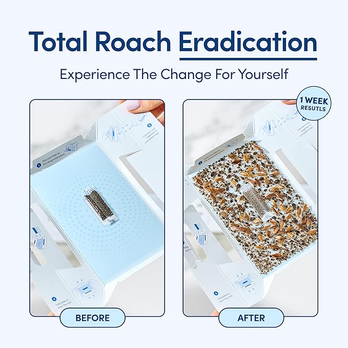 Shieldeck Roach Traps Indoor (24 Pack) â Non-Toxic Sticky Glue Traps for Roaches, Spiders & Crickets â Safe Roach Catcher for Home, Car, Apartment & Motel Pest Control