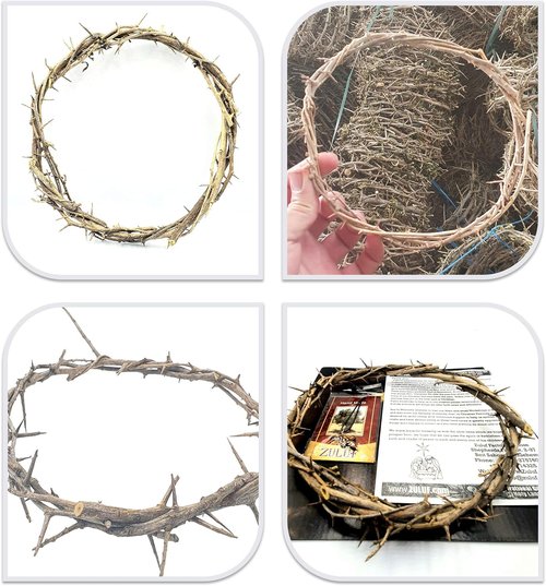 Jerusalem Authentic Biblical Crown of Thorns - Lifesize with Box & Zuluf Certificate | Religious Easter Décor & Christmas Wall Art