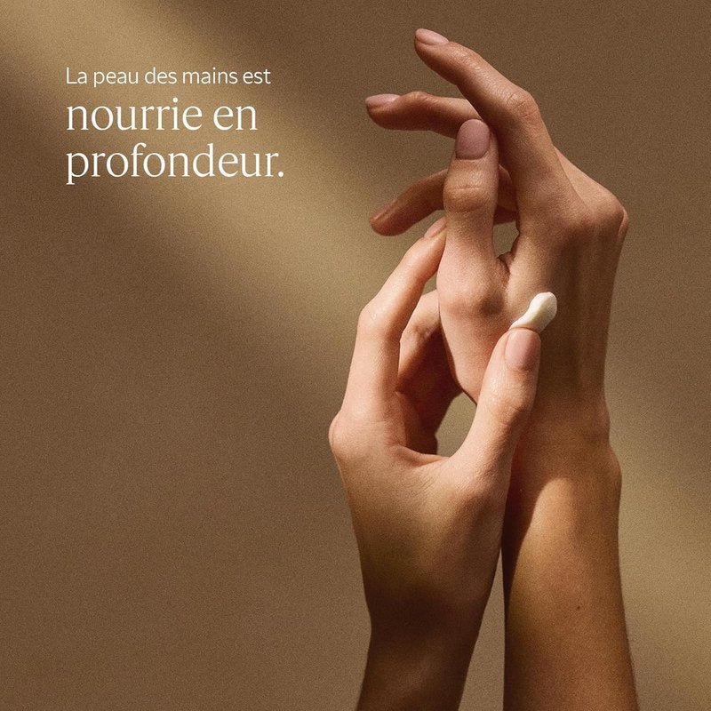 L'OCCITANE Shea Butter Hand Balm - Nourishing & Repairing Formula | Fast-Absorbing Moisturizer for Dry Skin