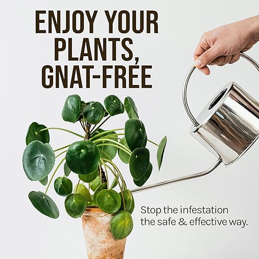 Microbe-Life Hydroponics FGX Fungus Gnat Killer, Natural BTi Pest Control for Plants, Indoor Plant Pest Control to Get Rid of Gnats in Houseplants, Safe for Pets & People, 1 Gallon