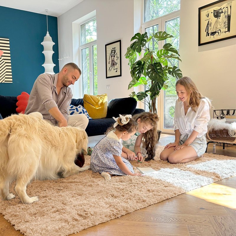 OLANLY 7x11 Machine Washable Large Area Rugs for Living Room, Bedroom, Soft Fluffy Shaggy Bedside Rug, Indoor Floor Carpet for Kids Girls and Boys, Dorms, Nursery, Home Decor Aesthetic, Beige
