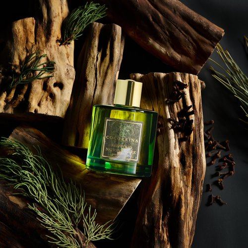 COCORRÍNA Reed Diffuser - Redwood National Park 6.7 Fl.oz Reed Diffuser Set with 8 Sticks & Preserved Baby's Breath, Reed Diffuser for Home Bathroom Shelf Decor