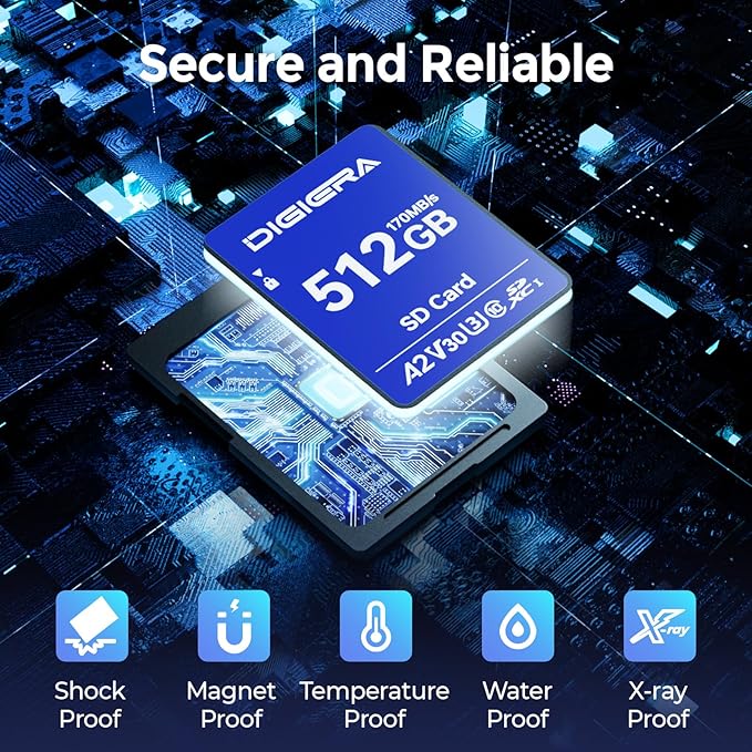 DIGIERA 512GB LS100 SDXC UHS-I Memory Card - up to 170MB/s, C10, U3, V30, 4K UHD, SD Card for Computers, Digital Cameras, Home Theatre Devices, Car Navigation Systems (1 Pack)