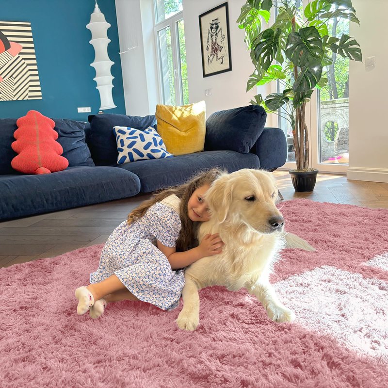 OLANLY 6x9 Machine Washable Large Area Rugs for Living Room, Bedroom, Soft Fluffy Shaggy Bedside Rug, Indoor Floor Carpet for Kids Girls and Boys, Dorms, Nursery, Home Decor Aesthetic, Pale Pink