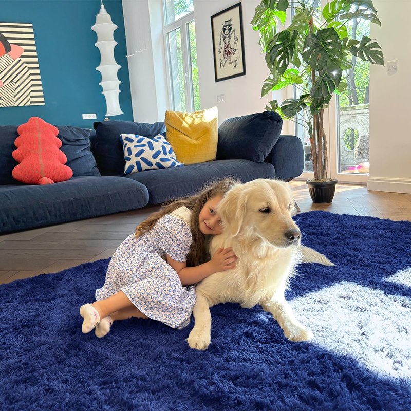 OLANLY 6x7 Area Rugs for Living Room Bedroom, Machine Washable Soft Fluffy Shaggy Bedside Rug, Indoor Floor Carpet for Kids Girls and Boys, Dorms, Nursery Rooms, Home Decor Aesthetic, Navy Blue