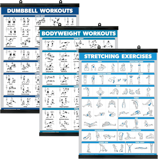 Palace Learning QuickFit 3 Pack - Laminated Dumbbell & Bodyweight Workout Posters | 18" x 24" Charts