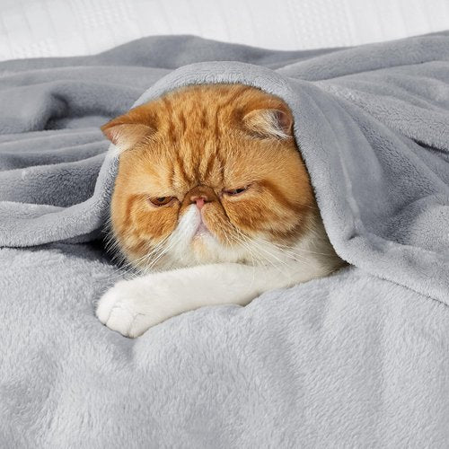 Bedsure GentleSoft Fleece Blanket - Lightweight Plush Cozy California King in Light Grey, 102x96 Inches