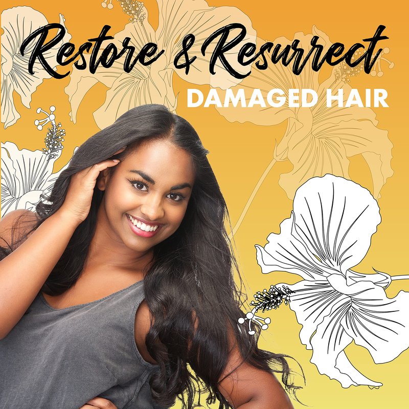 Paul Brown Hawaii Washe Elite Shampoo | Hydrate & Treat Damaged Hair | Moisturizing Hair Product, Safe for Color-Treated Hair, Antioxidant-Rich Kukui Nut Oil (10 oz.)