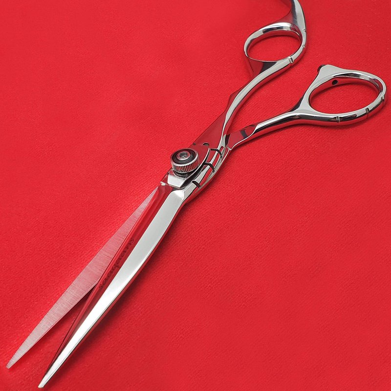 Saaqaans MSS-02 Professional Hair Cutting Scissors Set - Package Includes Barber Scissor, Thinning Shear, Straight Razor, 10 x Double Edge Blades & Hair Comb in Stylish Scissors Case (Silver USA)