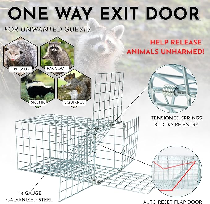 Animal One Way Exit Door - 6" Excluder Device for Raccoon, Squirrel, Skunk Trapped in Attic, Chimney, Under Deck â Eviction System with Installation Kit - Wildlife Pest Control Humane Animal Removal