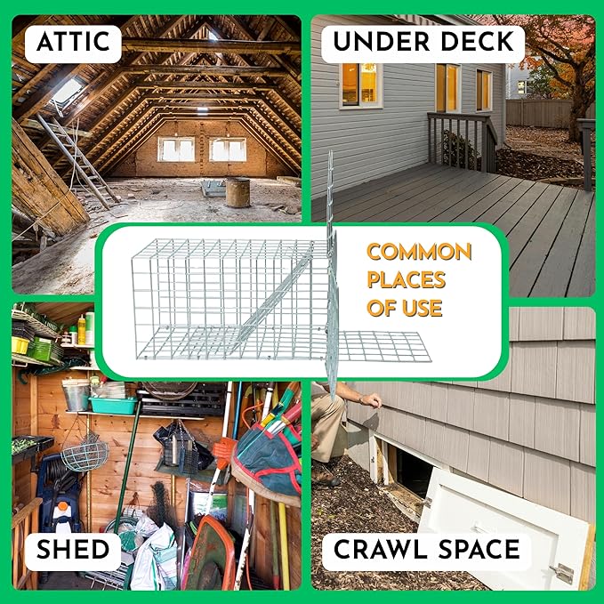 Animal One Way Exit Door - 6" Excluder Device for Raccoon, Squirrel, Skunk Trapped in Attic, Chimney, Under Deck â Eviction System with Installation Kit - Wildlife Pest Control Humane Animal Removal
