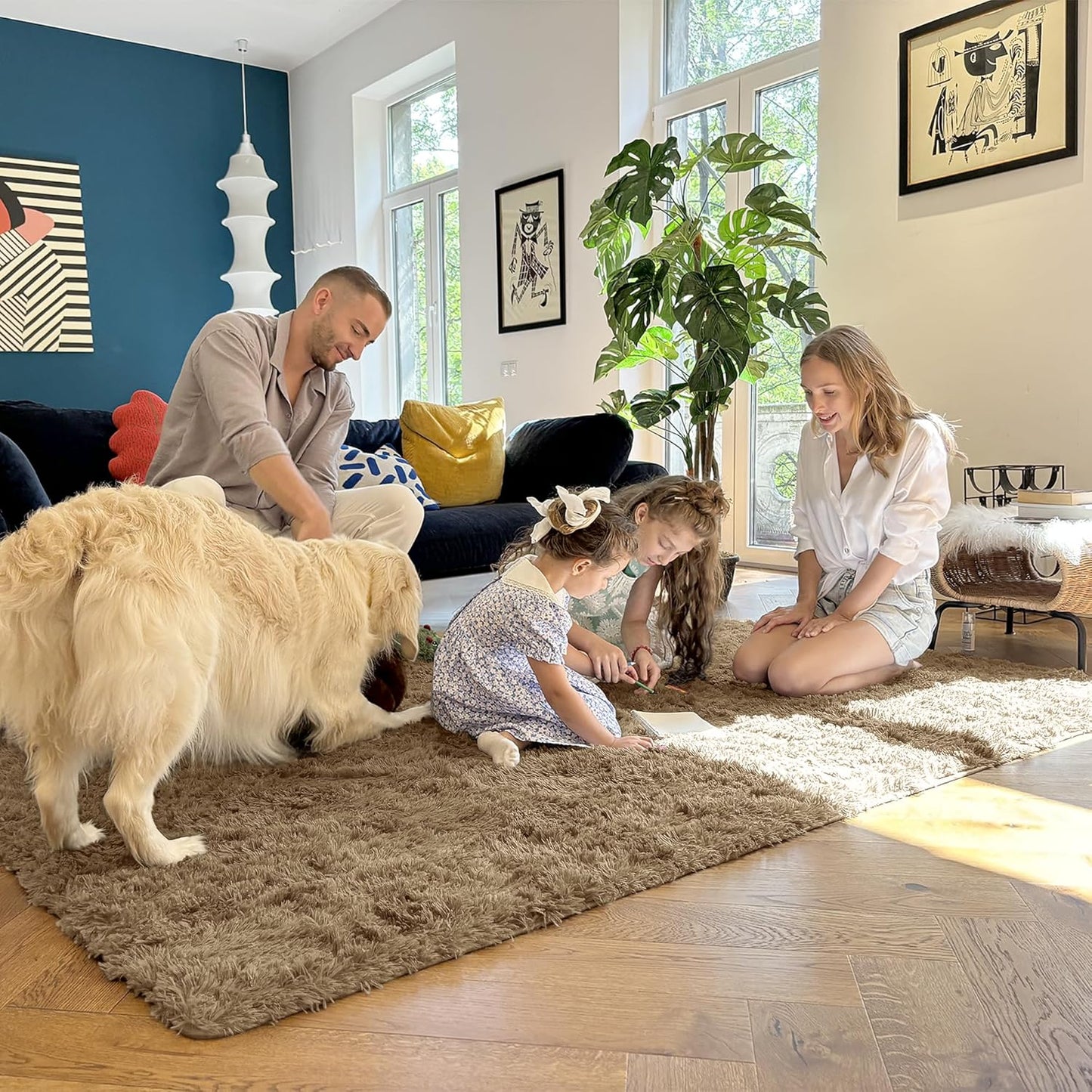 OLANLY Large Area Rug - Soft Fluffy Shaggy Indoor Carpet for Living Room & Bedroom - 5x7 Taupe